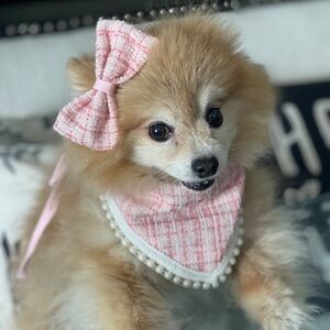 Tweed Dog Bandana & Head Bow Pink and White with Pearls Classic Pet Neckerchief